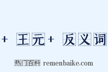 +王元+反义词是什么意思的图片